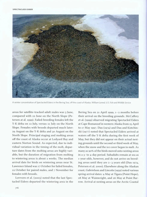 Ducks, Geese and Swans of North America, (2-Volume Set) - Baldassarre, G. 2014